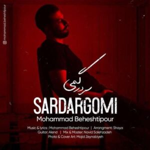 Mohammad Beheshtipour Sardargomi